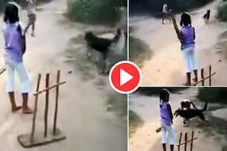 Dog Playing Cricket Video: कुत्ते ने की तूफानी अंदाज में विकेट कीपिंग, सचिन तेंदुलकर भी हुए शॉक्ड...देखिए ये वीडियो