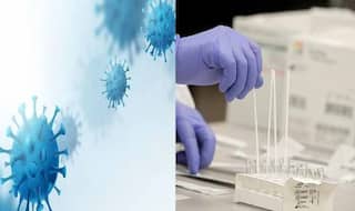 Jharkhand News: हाईकोर्ट ने लगाई कड़ी फटकार-जब ओमिक्रॉन हाहाकार मचाकर चला जाएगा, तब जगेंगे क्या