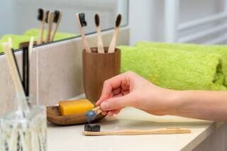 Here's Why Bamboo Toothbrushes Are Better Than Plastic, Read on!