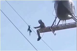 Viral Video: बिजली के तार में फंस तड़पने लगा कबूतर, शख्स ने हेलिकॉप्टर से ऐसे बचाई जान