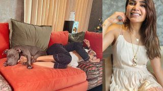 Samantha Ruth Prabhu Is Christmas-Ready With Her Dogs, Listens To ‘Last Christmas I Gave You My Heart’