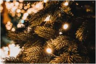 Christmas 2021 Vastu Tips: घर में क्रिसमस ट्री लगाना माना जाता है बेहत शुभ, जानें इसे किस दिशा में रखना चाहिए