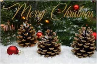 Christmas 2021: क्यों मनाया जाता है क्रिसमस का त्योहार, यहां जानें डेट, इतिहास और महत्व