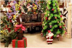 Wondering How to Make Your House Christmas Ready? Shahnaz Husain Shares Tips