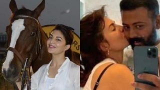 Jacqueline Fernandez Received Expensive Gifts Like Rs 50 Lakh Horse, Rs 9 Lakh Cat as Gifts From Conman Sukesh - Report
