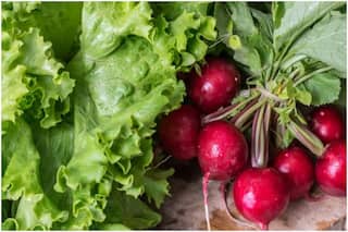 Weight Loss Diet: Try Plant-Based Diet Plan to Keep Your Weighing Scale in Check