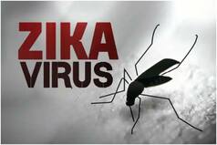 Karnataka Reports First Case Of Zika Virus as 5-Year-Old Girl Tests Positive, State to Issue Guidelines Soon