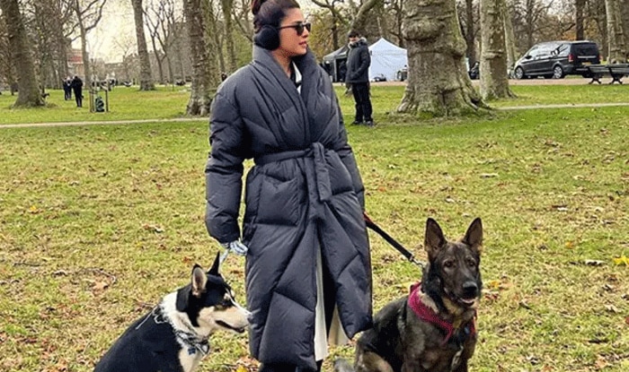 प्रियंका चोपड़ा ने जीनो, पांडा और डायना संग किया क्वलिटी टाइम स्पेंड, फैंस कर रहे हैं जबरदस्त कमेंट्स