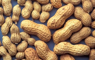 Siblings Fly Down From USA to Track Down Vendor Who Gave Them Free Peanuts 12 Years Ago