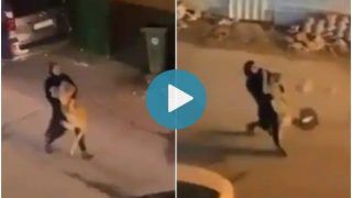 Viral Video: Girl Spotted Carrying Lion in Her Arms on Kuwait Streets, Leaves Internet Shocked | Watch