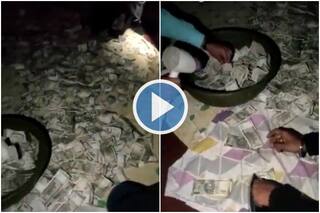 1 Crore Cash Found In Water Tank During Raid, IT Dept Officials Use Clothes Iron to Dry Currency Notes | Watch