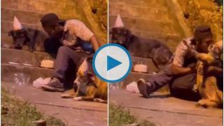 Viral Video: Homeless Man Celebrates Pet Dog's Birthday, Heartwarming Video Moves The Internet | Watch
