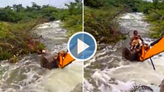Viral Video: Telangana Home Guard Risks Life, Saves Dog Stuck In Flooded Stream With JCB | Watch