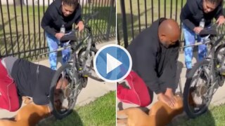 Viral Video: Man Performs CPR on Dog & Saves His Life, Kindness Moves The Internet | Watch