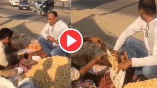 Chor Ka Sardar: चालाकी से मूंगफली चुराने लगा शख्स पर मालिक उसका भी सरदार निकला, दिन बना देगा ये Video | देखिए