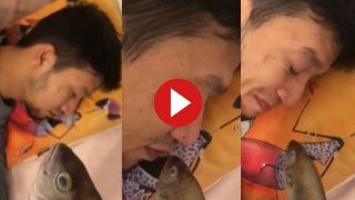 Husband Wife Video: चैन से सो रहे पति संग पत्नी ने किया ऐसा मजाक, देखकर हंसी ना रोक पाएंगे | देखें वीडियो