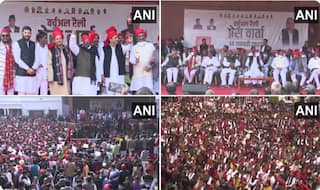 UP CHUNAV RESULTS 2022: क्या SP गठबंधन की आक्रामकता से सहमे दलितों ने थामा BJP का दामन? 1 सीट पर सिमटी BSP