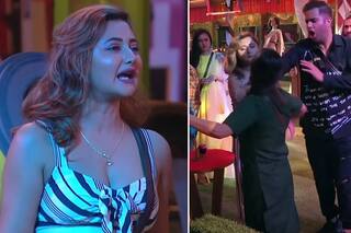 Bigg Boss 15: Did Rashami Desai Just Slap Devoleena Bhattacharjee?
