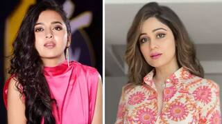 BB15 Grand Finale: Tejasswi Prakash Played a More Dignified Game as per India.com Twitter Poll