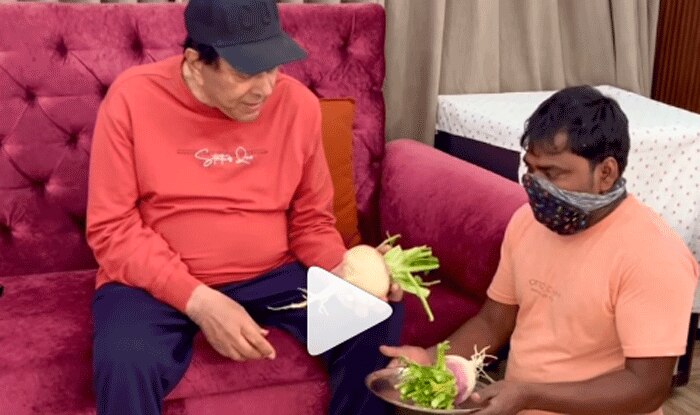 86 साल के Dharmendra ने अपने फार्महाउस में उगाया शलजम, बोले- ये छोटू अब मोटू हो गया देखें Video