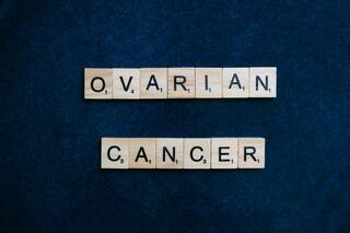 Researchers Finds How The Ovarian Cancer Can Develop in Women