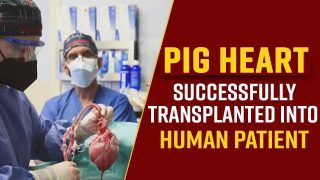 US Surgeon Implants A Pig Heart Successfully Into A 57 Year Old Patient, A Historic Moment; Watch Video