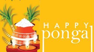 Happy Pongal 2022: Greeting Cards, WhatsApp Status, Facebook Messages, SMS, GiFs to Send