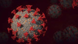 COVID-19 'XE' Variant: WHO Warns Against New, More Transmissible Virus Strain. Top Points to Know