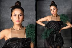 Shehnaaz Gill Shares Stunning Photos From New Shoot With Dabboo Ratnani, Wears Black LBD With Feathers