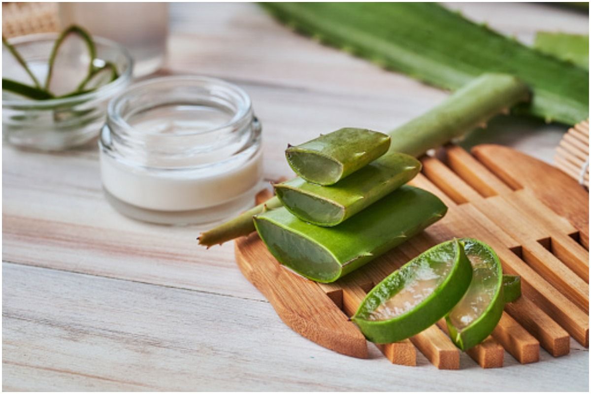 Slices of Aloe Vera along with its pulp
