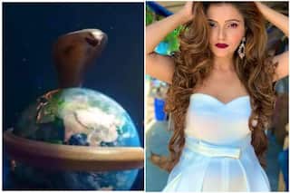 Naagin 6: Ekta Kapoor Seeks Suggestions About Next Icchadhari-Naagin, Fans Plead For Rubina Dilaik
