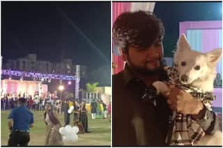 Gujarat Hindi News: डॉगी के जन्मदिन की पार्टी में जमकर तोड़े कोरोना नियम, लाखों खर्च कर डाले; तीन गिरफ्तार