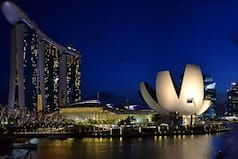 Singapore Travel Latest News: Planning to Fly From India to Singapore? Read Latest Travel Guidelines Here