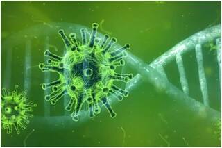 Covid-19 Death Update: आधिकारिक आंकड़ों से चार गुना अधिक लोगों की कोरोना से मौत हुई- रिपोर्ट का दावा