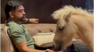 MS Dhoni Chilling Out With Pet Pony, Picture Goes VIRAL
