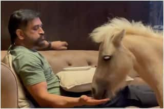 MS Dhoni Chilling Out With Pet Pony, Picture Goes VIRAL