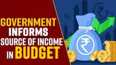 Union Budget 2022: What Are Source Of Income In Budget? Watch Video To Find