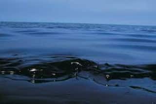 Peru Declares 90-Day Environmental Emergency Following Oil Spill