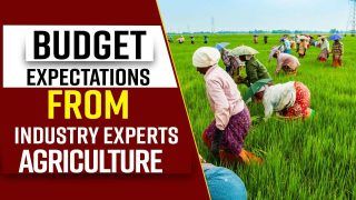 Budget 2022: Here's What Agriculture Industry Expects From Upcoming Union Budget, Expert Speaks; Watch Video