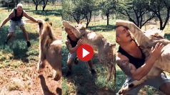 Sher Ka Video: शेर ने देखते ही देखते शख्स पर लगा दी छलांग, फिर जो देखने को मिला उसे सोचा भी नहीं जा सकता- देखें वीडियो