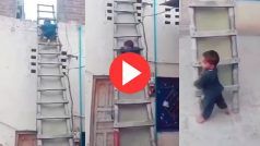 Viral Video: सीढ़ियों से इस अंदाज में उतरा छोटा सा बच्चा, सन्न रह गया इंटरनेट- देखें वीडियो