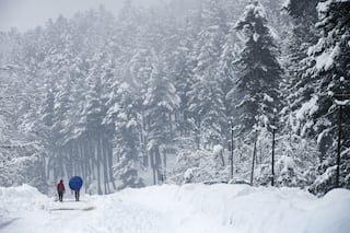 WATCH: Snowfall Sets Foot In Himachal's Lahual-Spiti Valley; Traffic Beyond Manali-Leh Highway Stopped