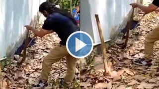 Viral Video: Woman Forest Official Rescues Snake in Kerala, Netizens in Awe of Her Bravery | Watch