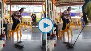 Woman Cries, Screams & Climbs Chair in Fear After Spotting Monitor Lizard at Restaurant | Watch
