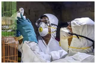 WHO Confirms Human Cas Of Bird Flu in West Bengal, 2nd Case Of Avian Influenza A(H9N2) Reported In India