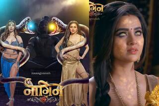 Naagin 6 Spoiler: दुल्हन के जोड़े में प्रथा बनीं नागिन, ऋषभ परिवार के दबाव में हुआ शादी के लिए तैयार