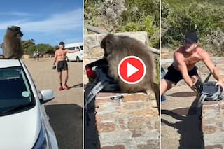 Bandar Ka Video: यूट्यूबर के पीछे पड़ गए दो बंदर, एक ने किया पीछा तो दूसरे ने मचा दी लूटपाट- देखें वीडियो