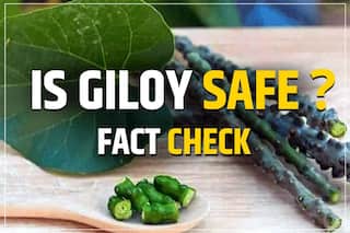Fact Check: Giloy is NOT Harmful For Liver, Safe to Use in Appropriate Doses - AYUSH