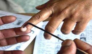 Election Results 2022: How To Check Results of Uttar Pradesh, Punjab, Uttarakhand, Manipur, Goa Polls on ECI Website And App | Step-by-Step Guide Here