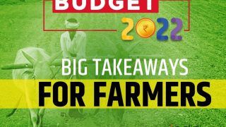 Kisan Drones To Chemical-Free Natural Farming: Key Budget Announcements For Agriculture Sector